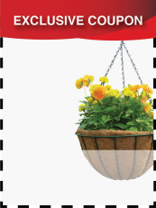 BUY ONE product image.